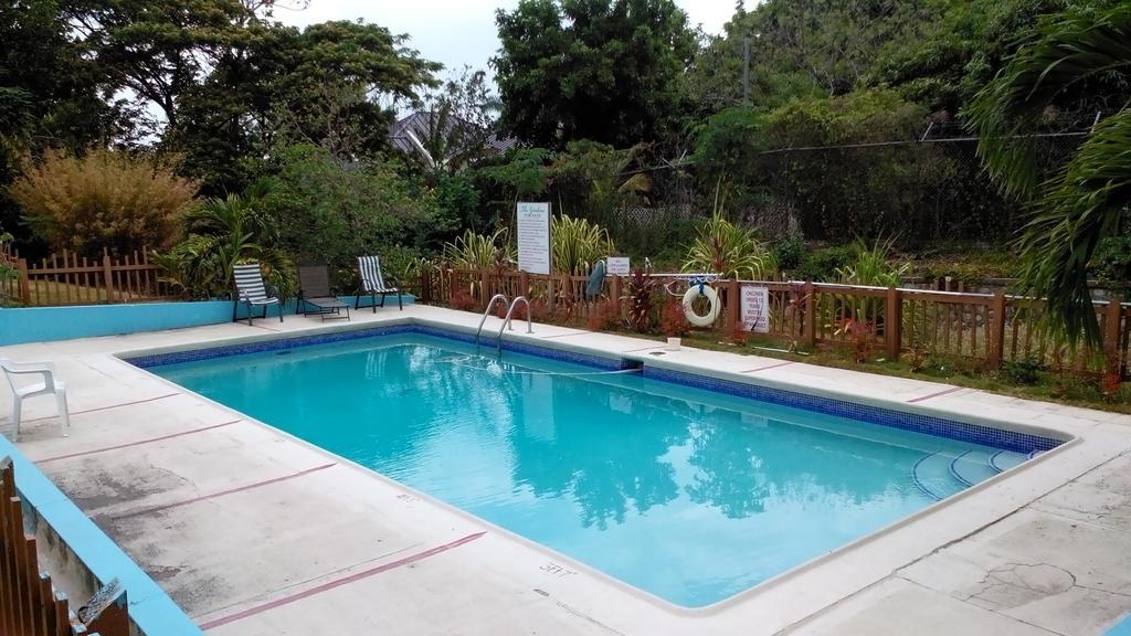 The Gardens Villa Kingston Exterior foto