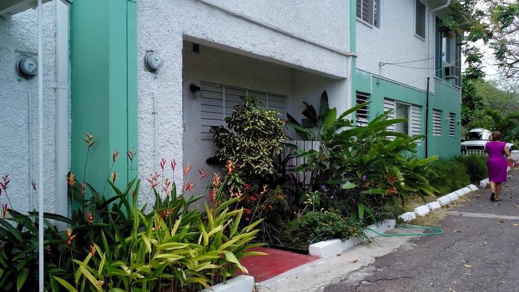 The Gardens Villa Kingston Exterior foto