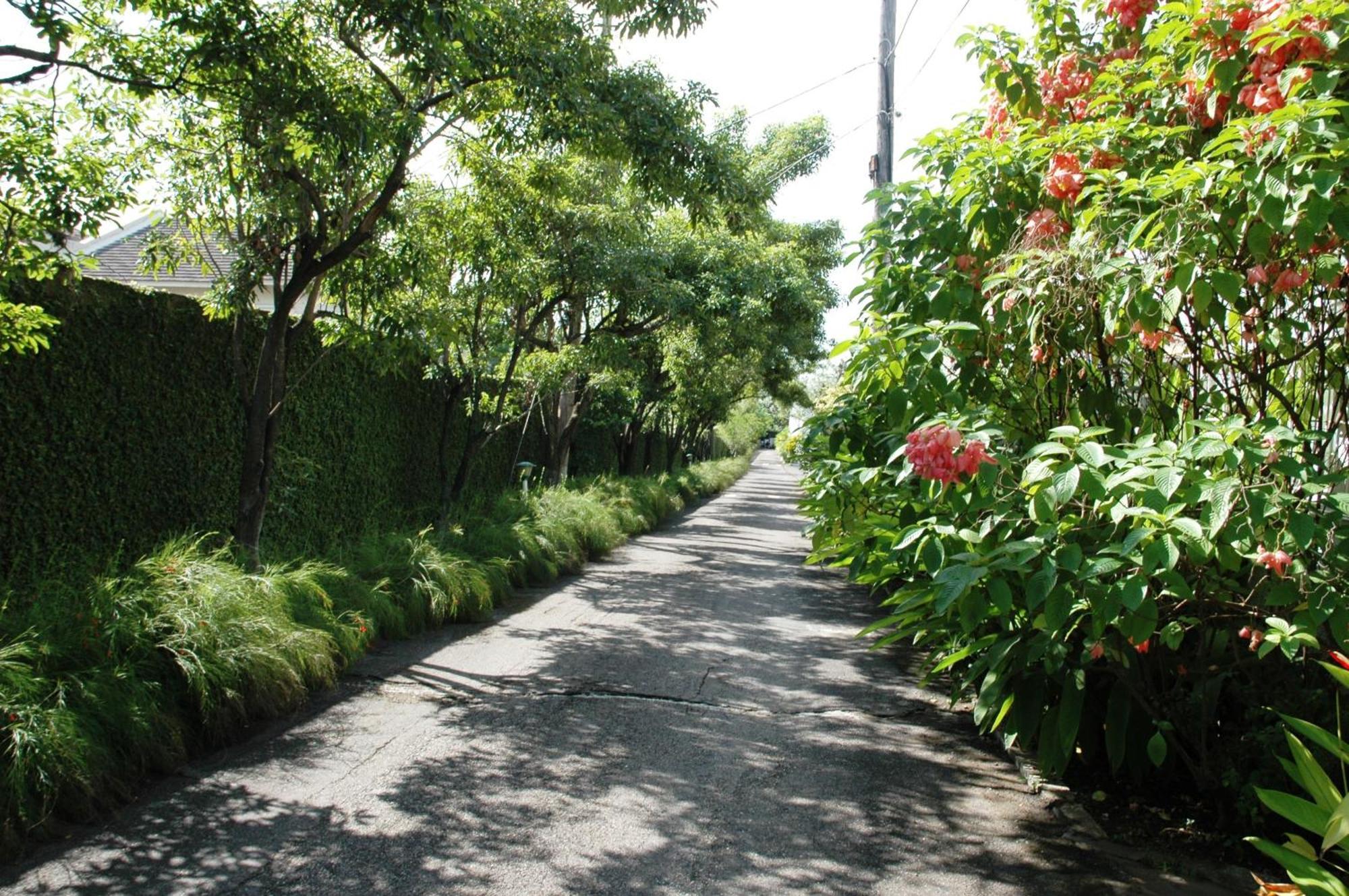 The Gardens Villa Kingston Exterior foto