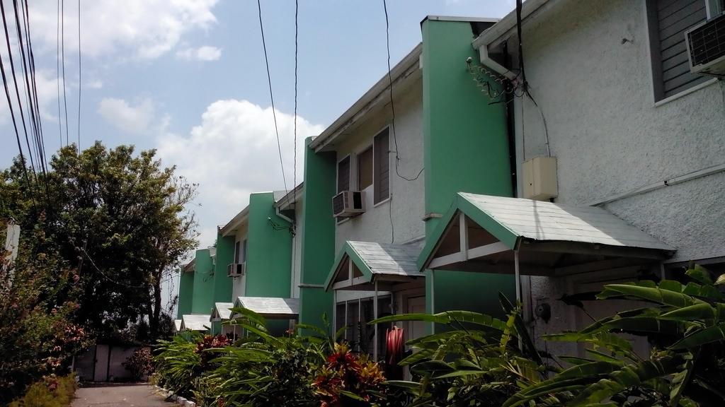 The Gardens Villa Kingston Exterior foto