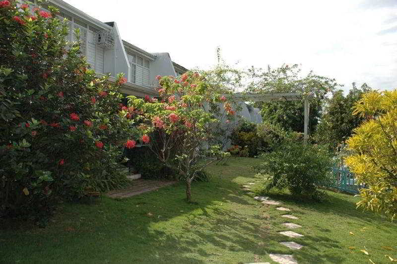 The Gardens Villa Kingston Exterior foto